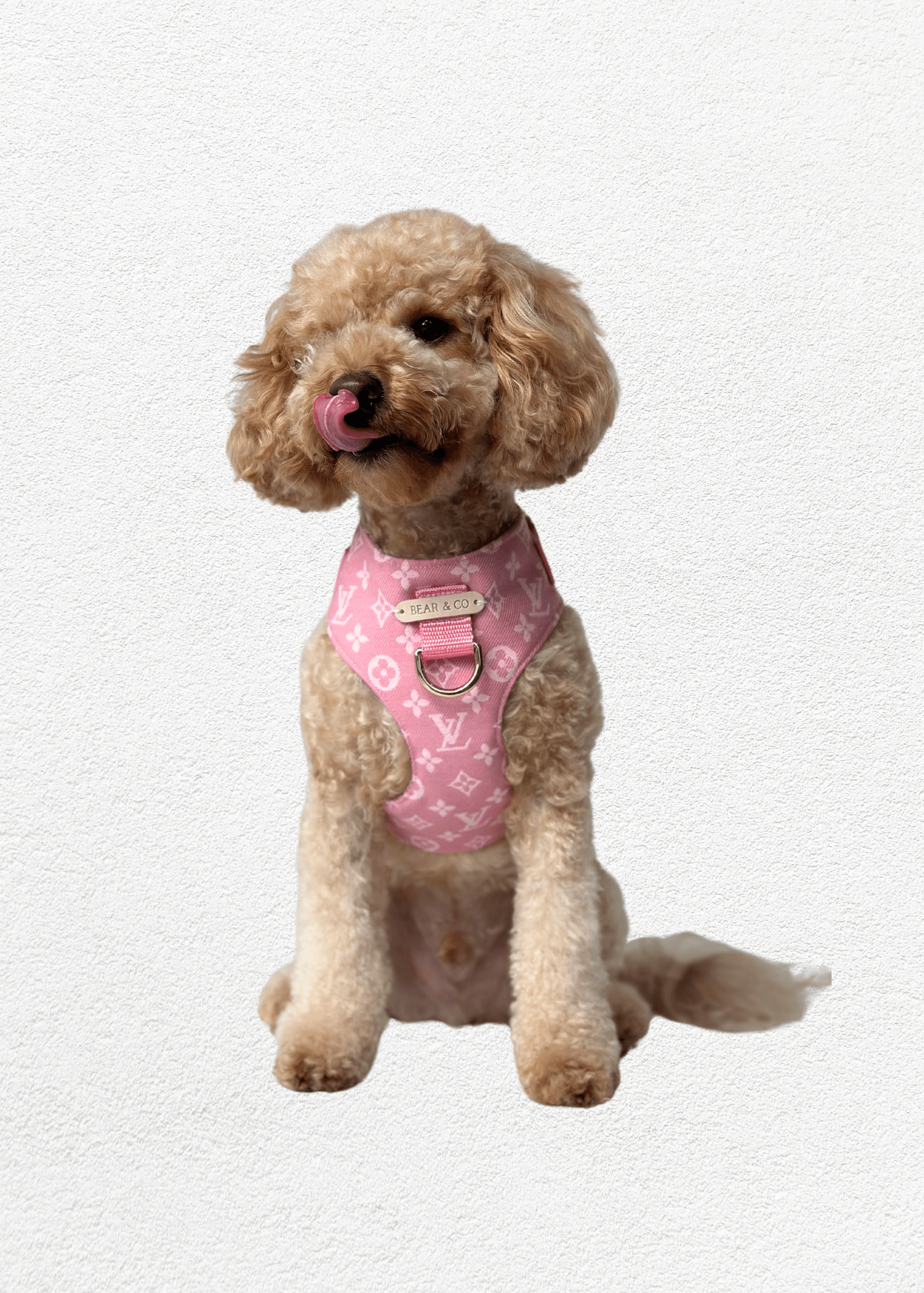 Bespoke Pet Harness - Bear & CoBespoke Pet Harnesspet accessoriesBear & CoBear & Co