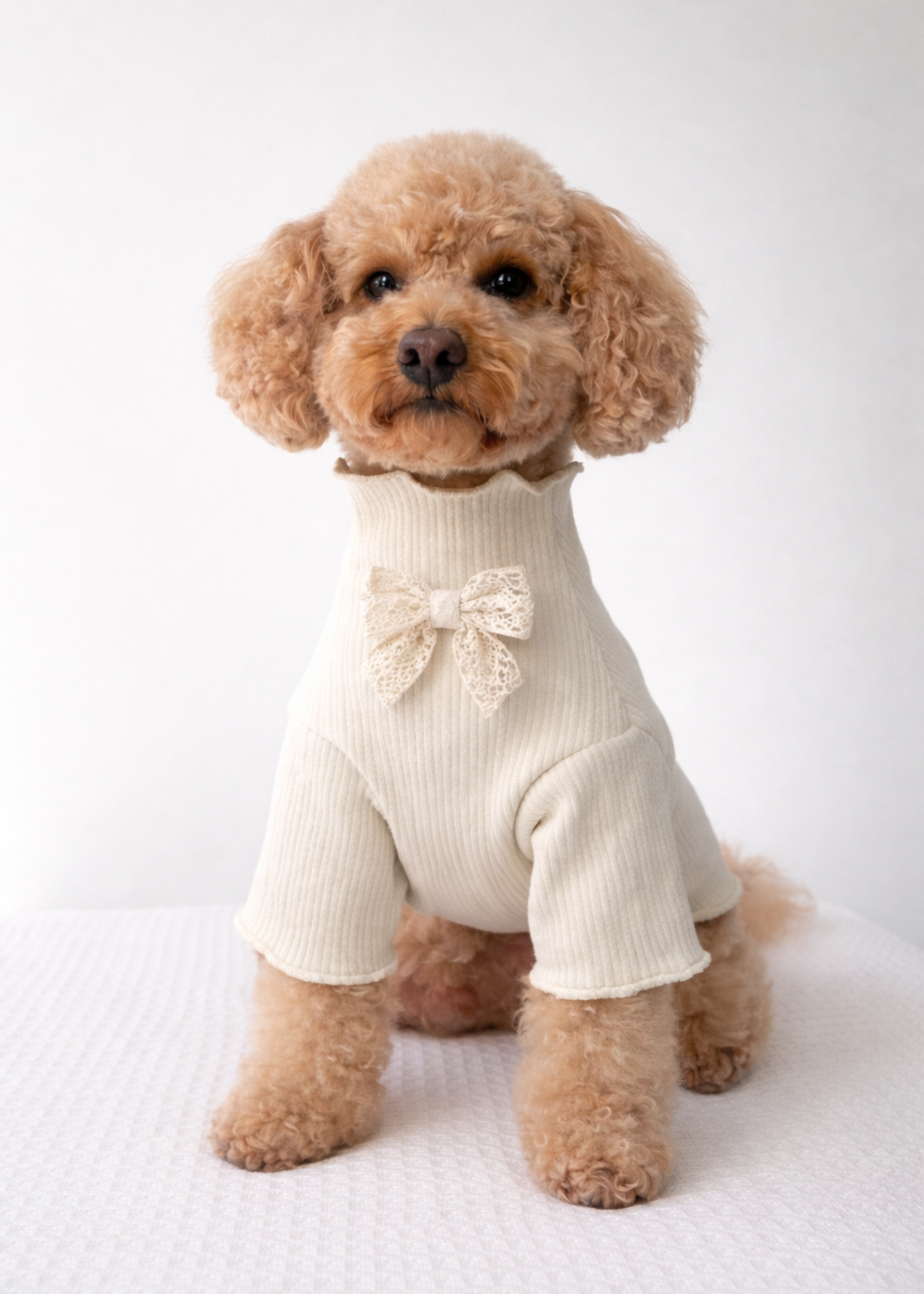 Renaissance Jumper (Pearl)