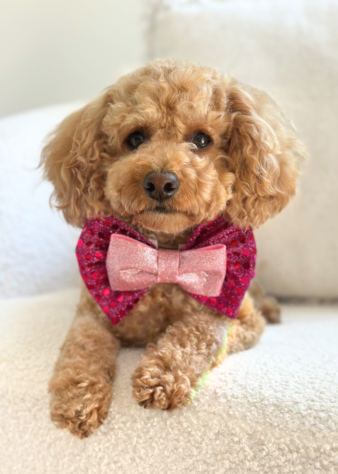 Disco Bow Tie