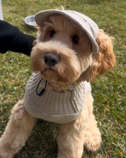Corduroy Dog Cap – Beige