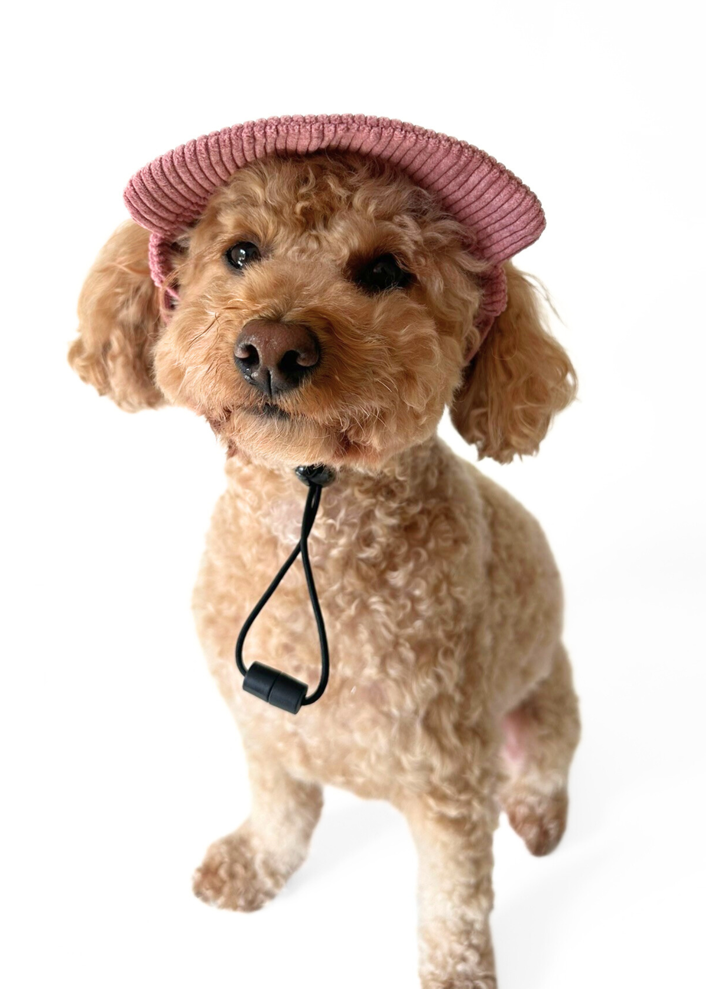 Dog Cap - Pink