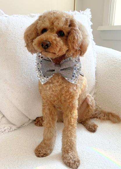 Disco Bow Tie