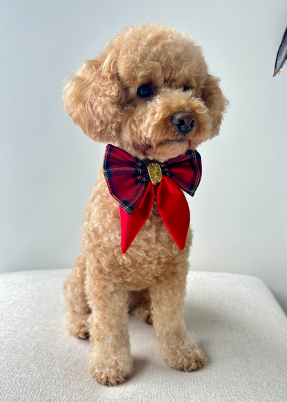 Christmas Bows - Sydney Toy Poodles