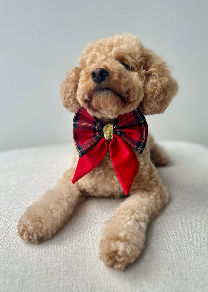 Christmas Bows - Sydney Toy Poodles