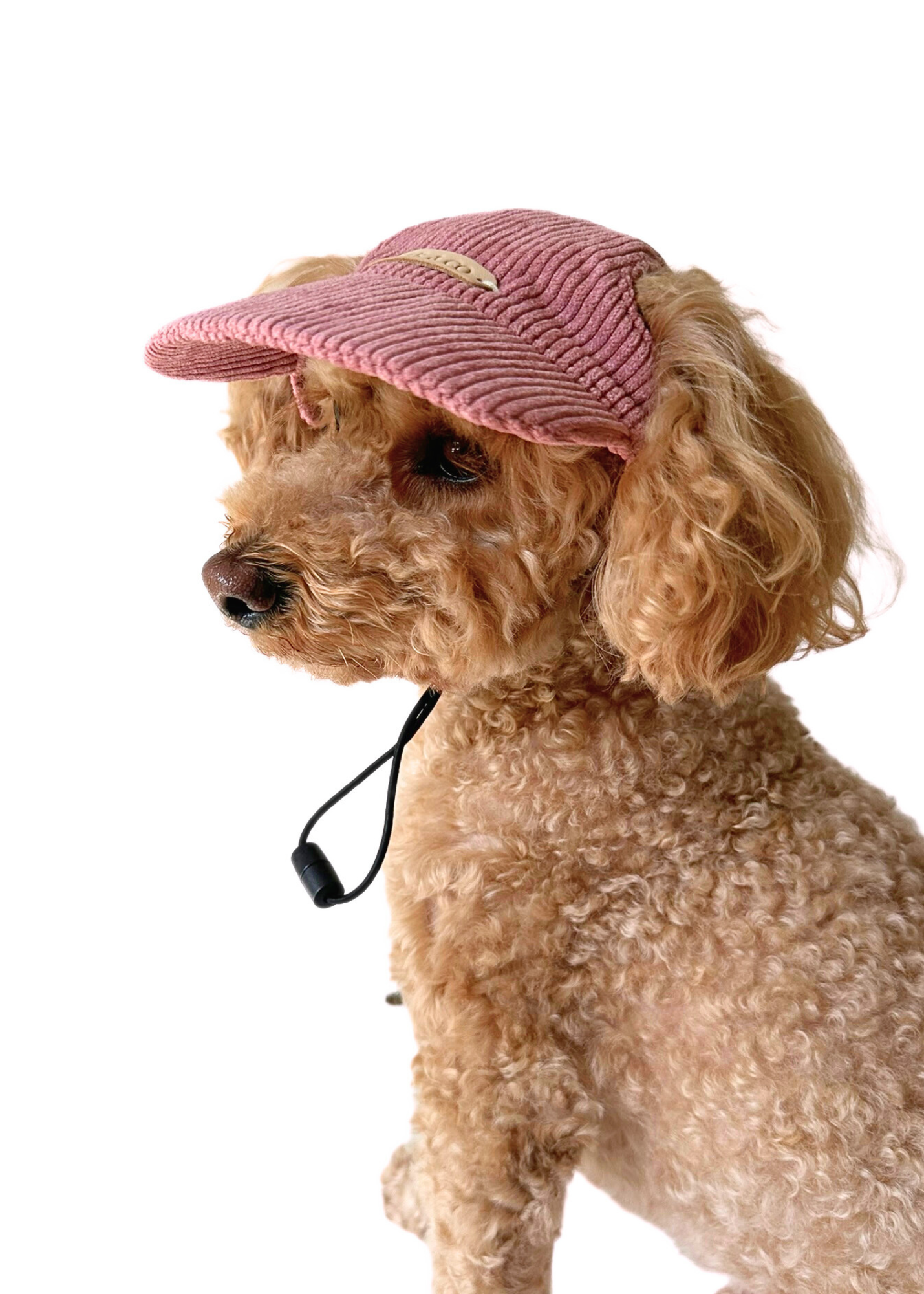 Dog Cap - Pink