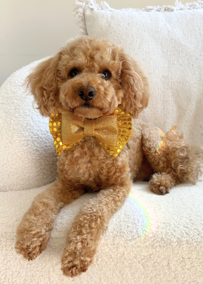 Disco Bow Tie