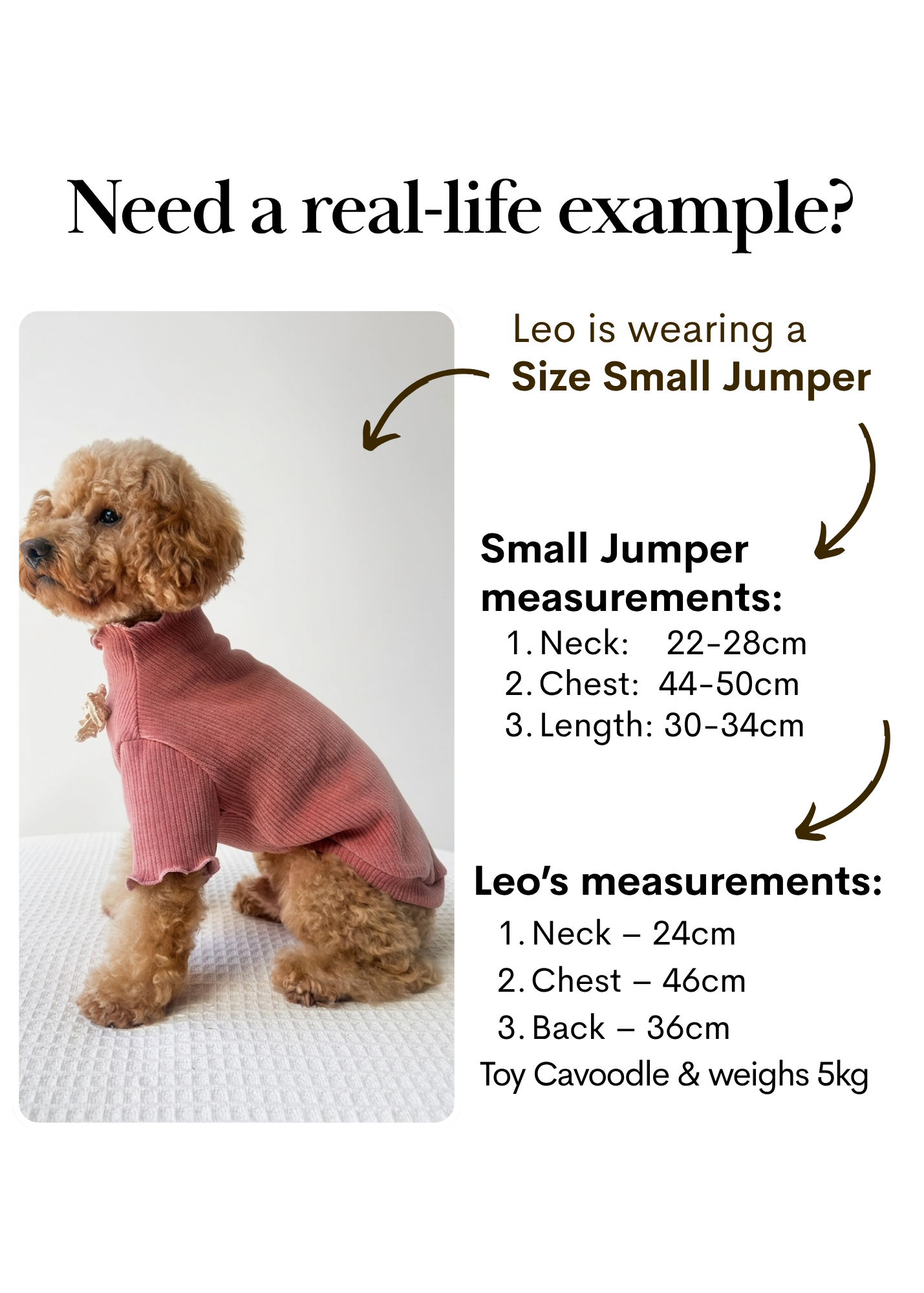 Renaissance Jumper  (Vintage Rose)
