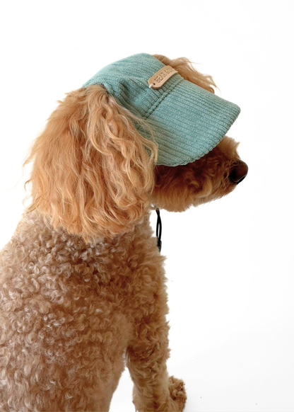 Dog Cap - Green