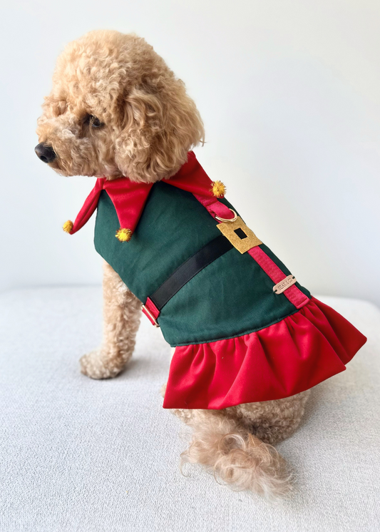 Bespoke Christmas Elf Harness