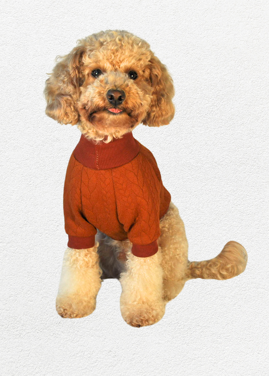 Knitted Pullover - Sienna