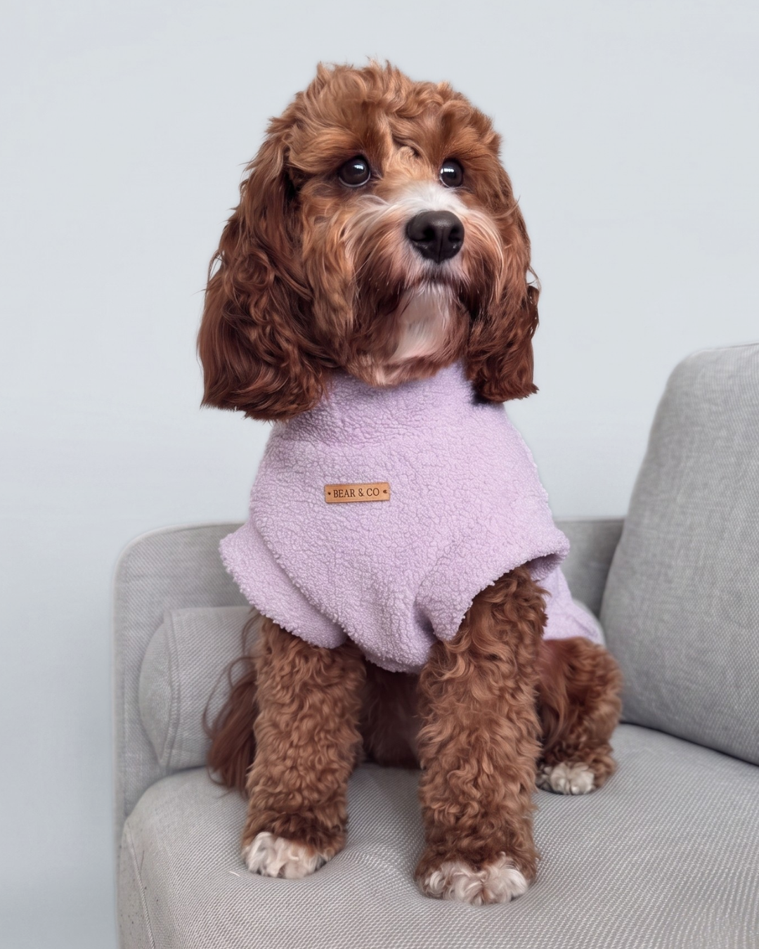 Teddy Dog Jumper (Lilac) CUSTOM SIZE