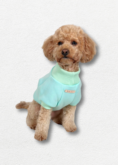 Dog Sweater - Mint Green