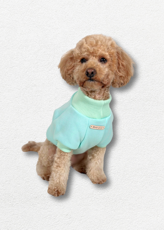 Dog Sweater - Mint Green