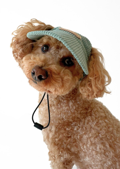 Dog Cap - Green
