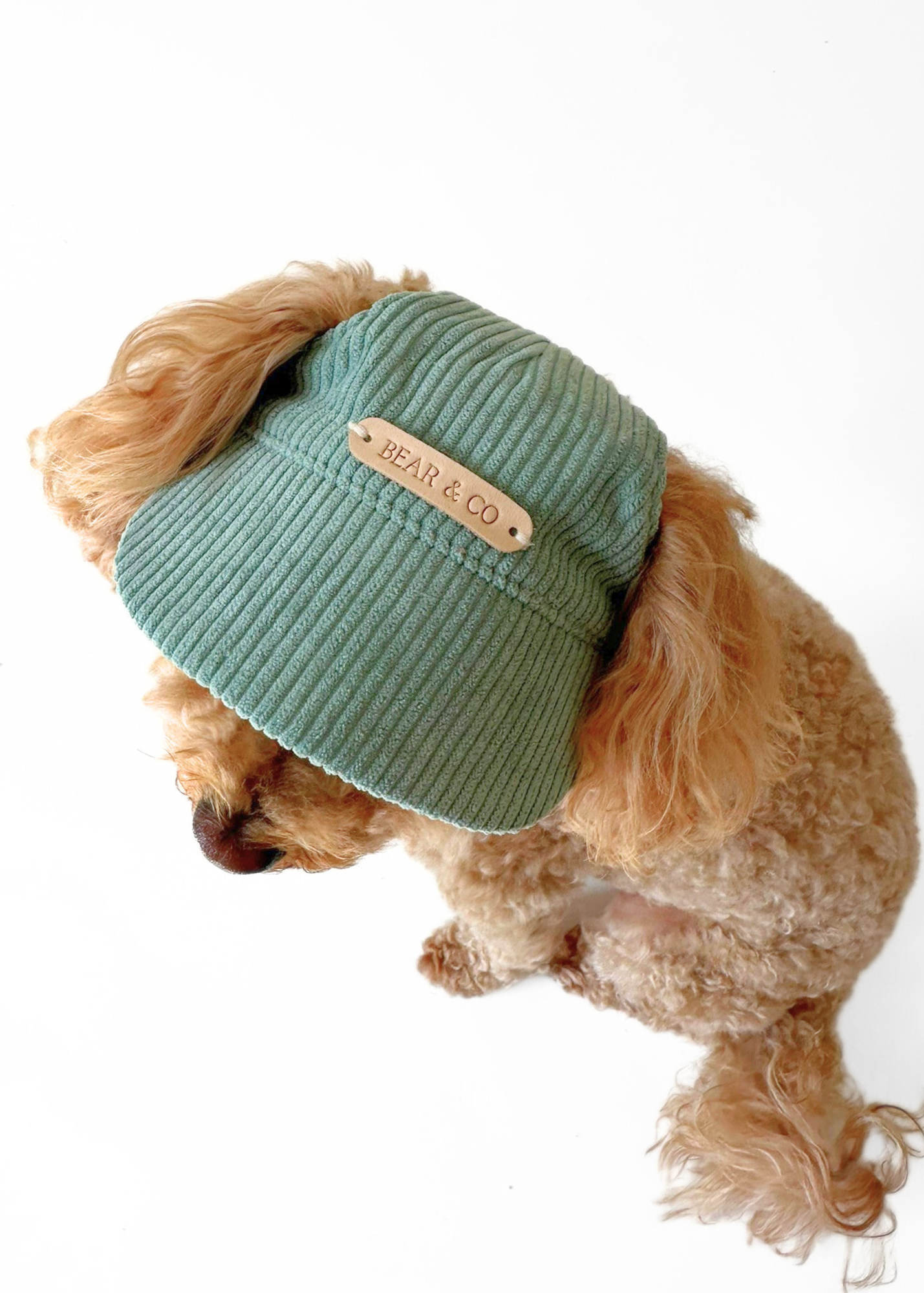 Dog Cap - Green