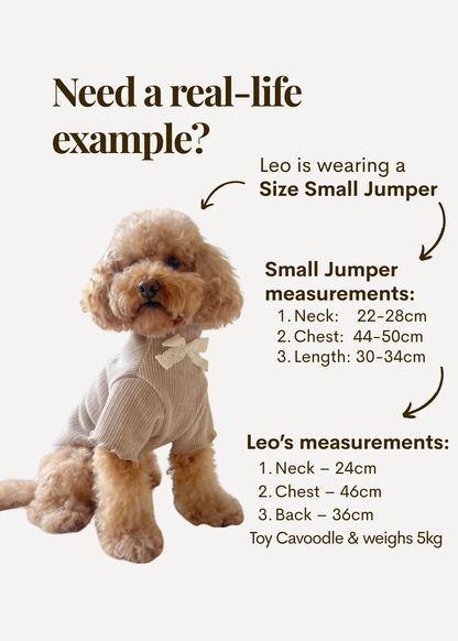 Renaissance Jumper (Champagne)
