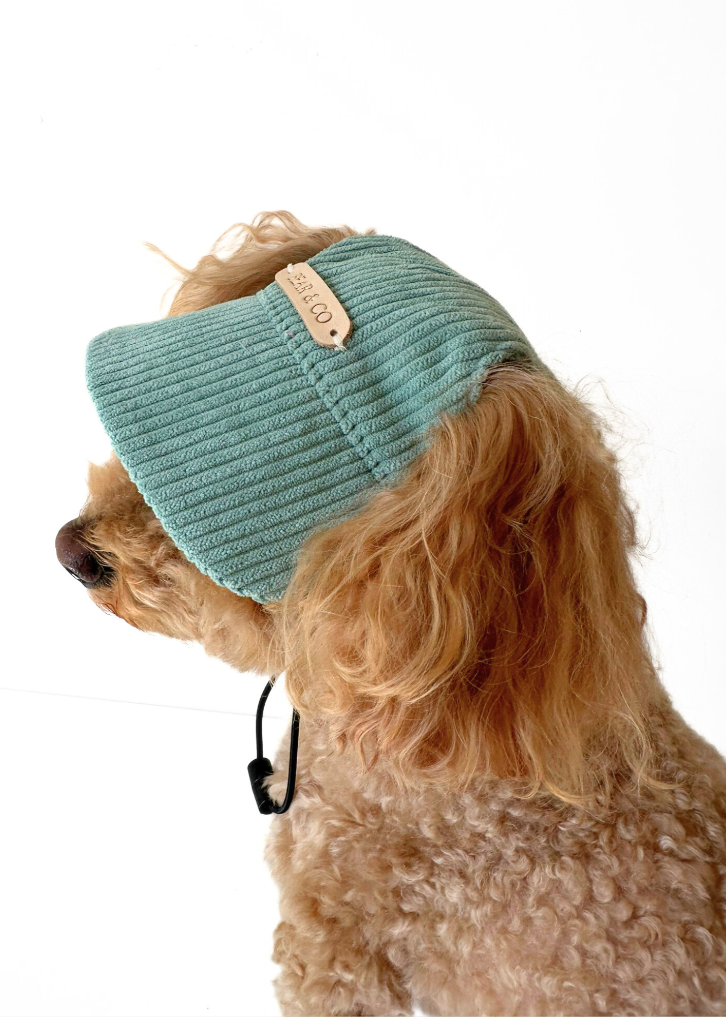 Dog Cap - Green