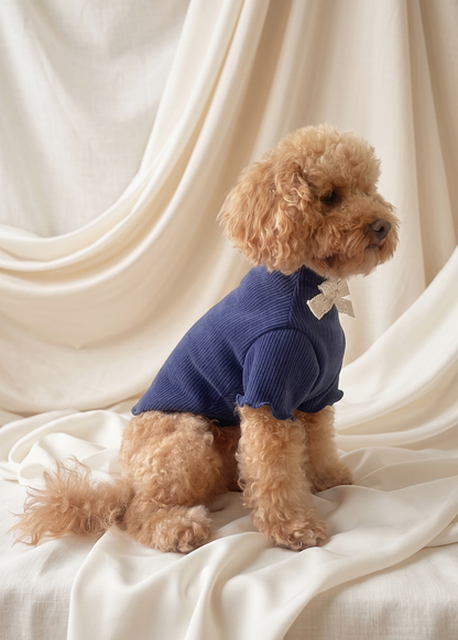 Renaissance Jumper (Royal Blue)