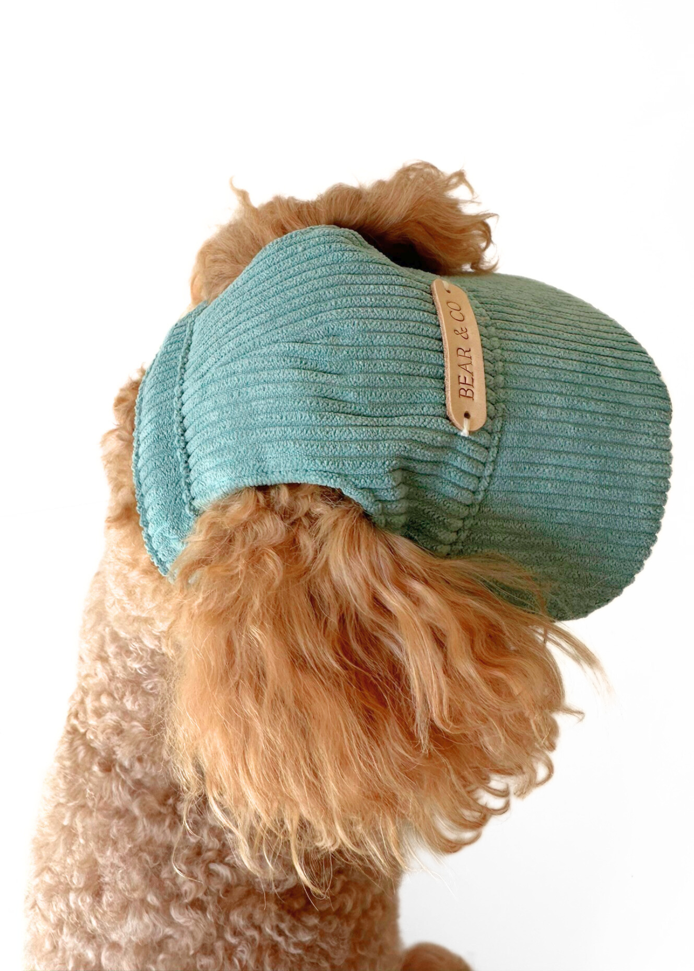Dog Cap - Green