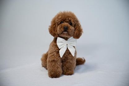 Sailor Bow - White Tweed
