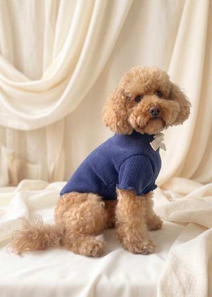 Renaissance Jumper (Royal Blue)