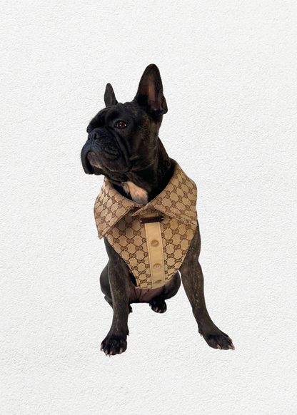 Bespoke Pet Harness & Shirt Collar