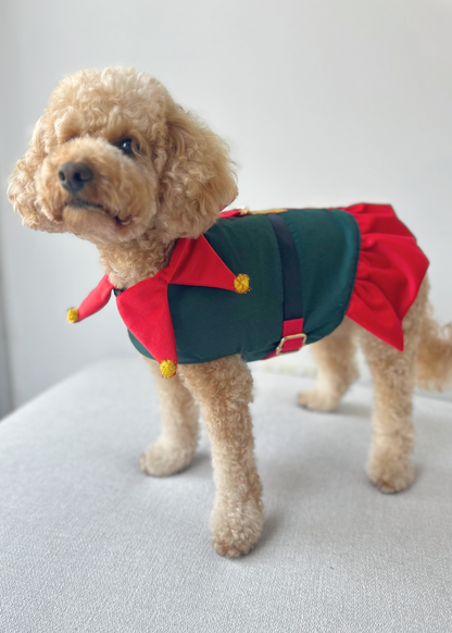 Bespoke Christmas Elf Harness
