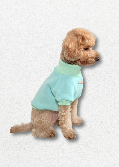 Dog Sweater - Mint Green