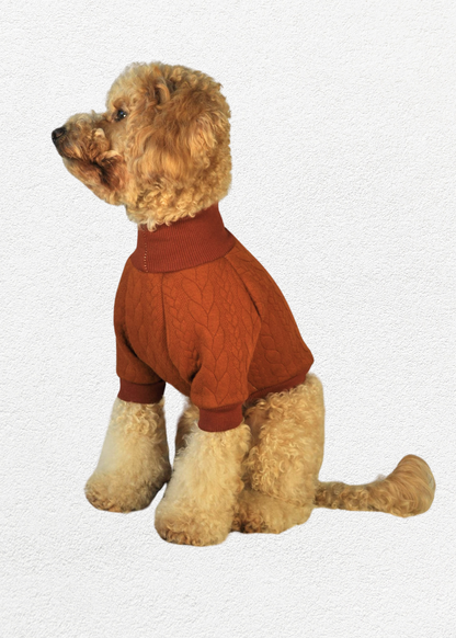 Knitted Pullover - Sienna