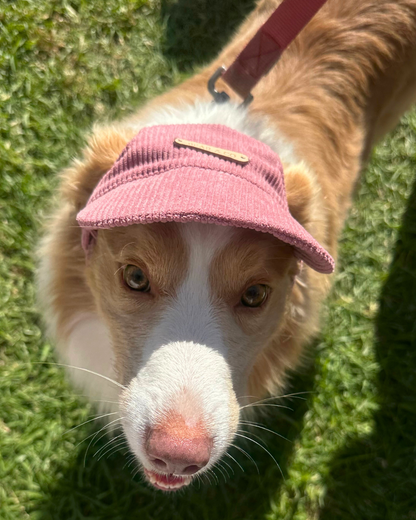 Corduroy Dog Cap – Pink