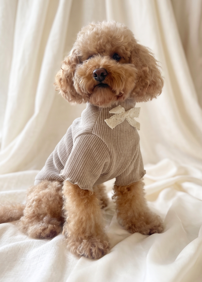 Renaissance Jumper (Champagne)