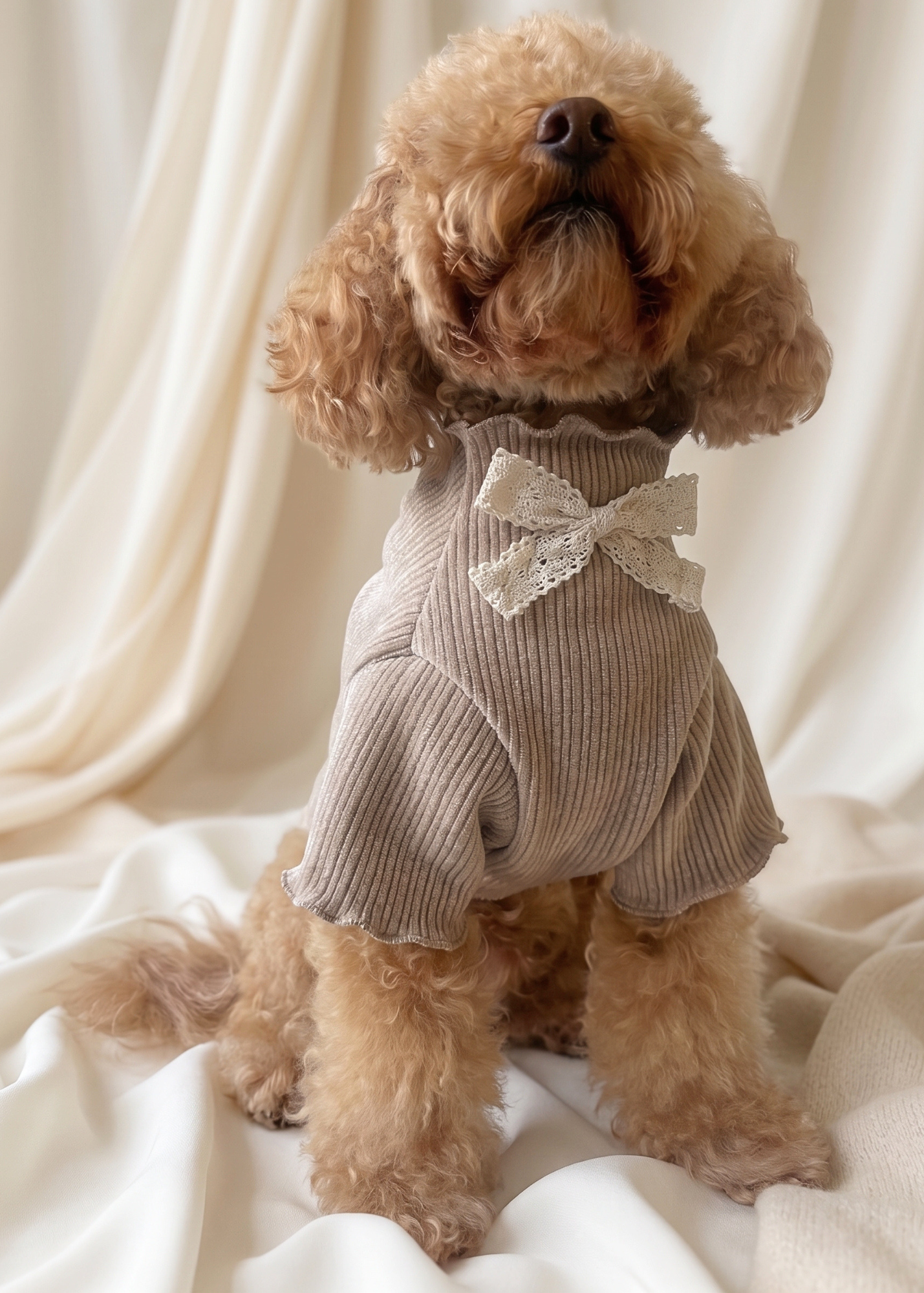 Renaissance Jumper (Champagne)