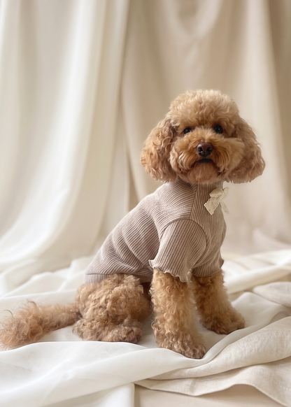 Renaissance Jumper (Champagne)