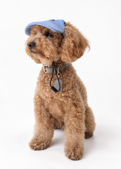 Corduroy Dog Cap – Blue
