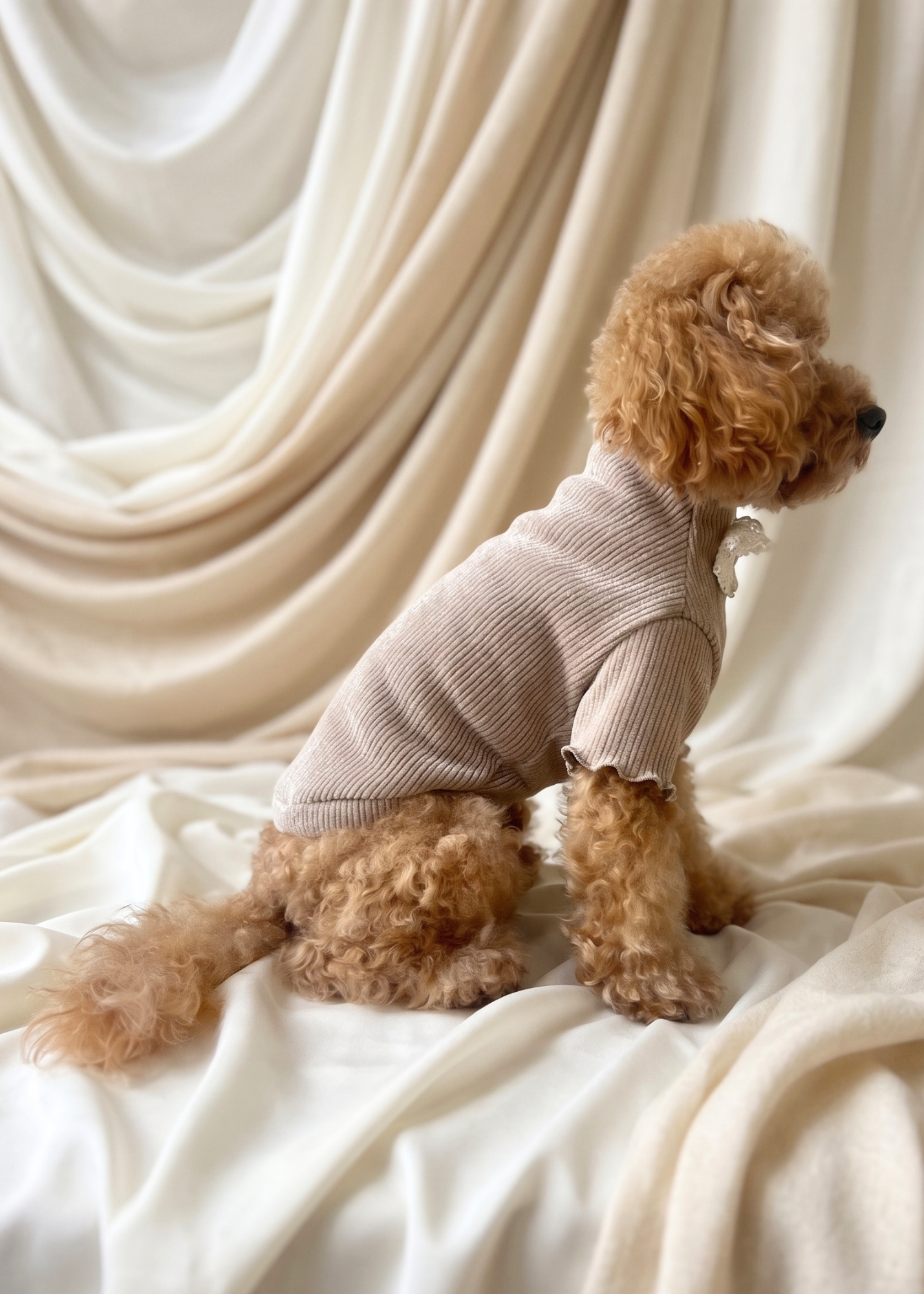 Renaissance Jumper (Champagne)