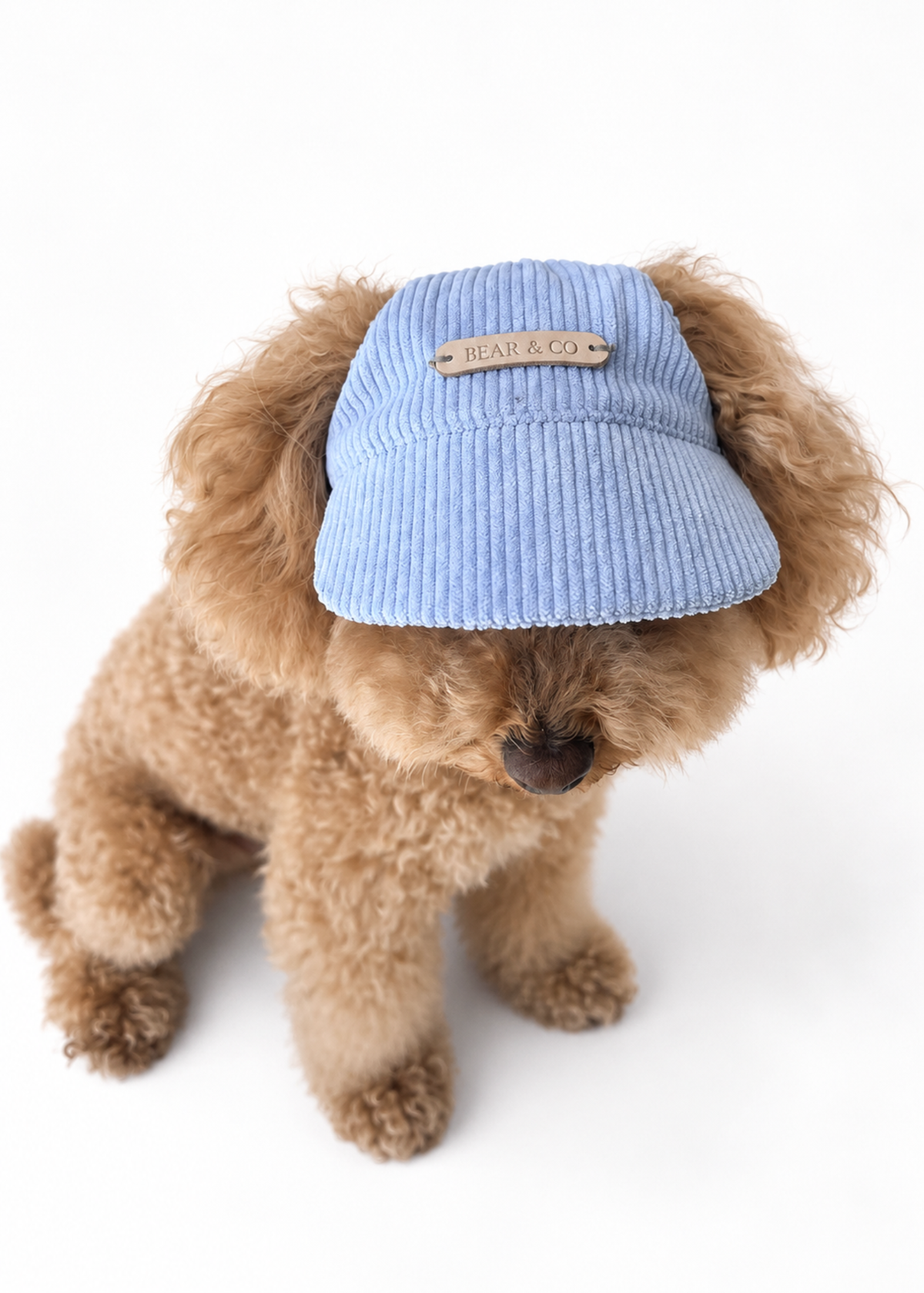 Corduroy Dog Cap – Blue