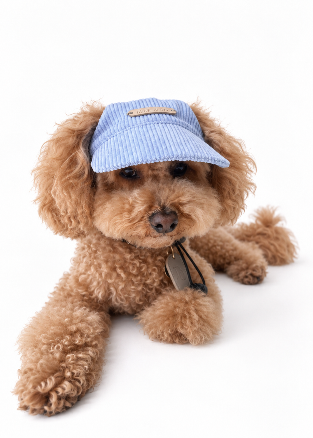 Corduroy Dog Cap – Blue