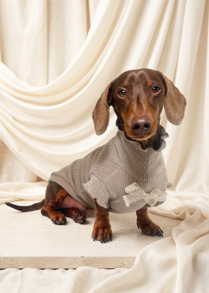 Renaissance Jumper (Champagne)