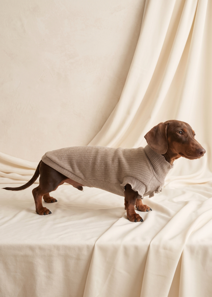 Renaissance Jumper (Champagne)