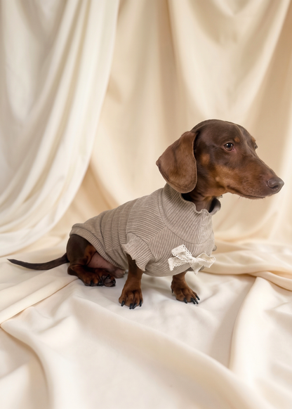 Renaissance Jumper (Champagne)