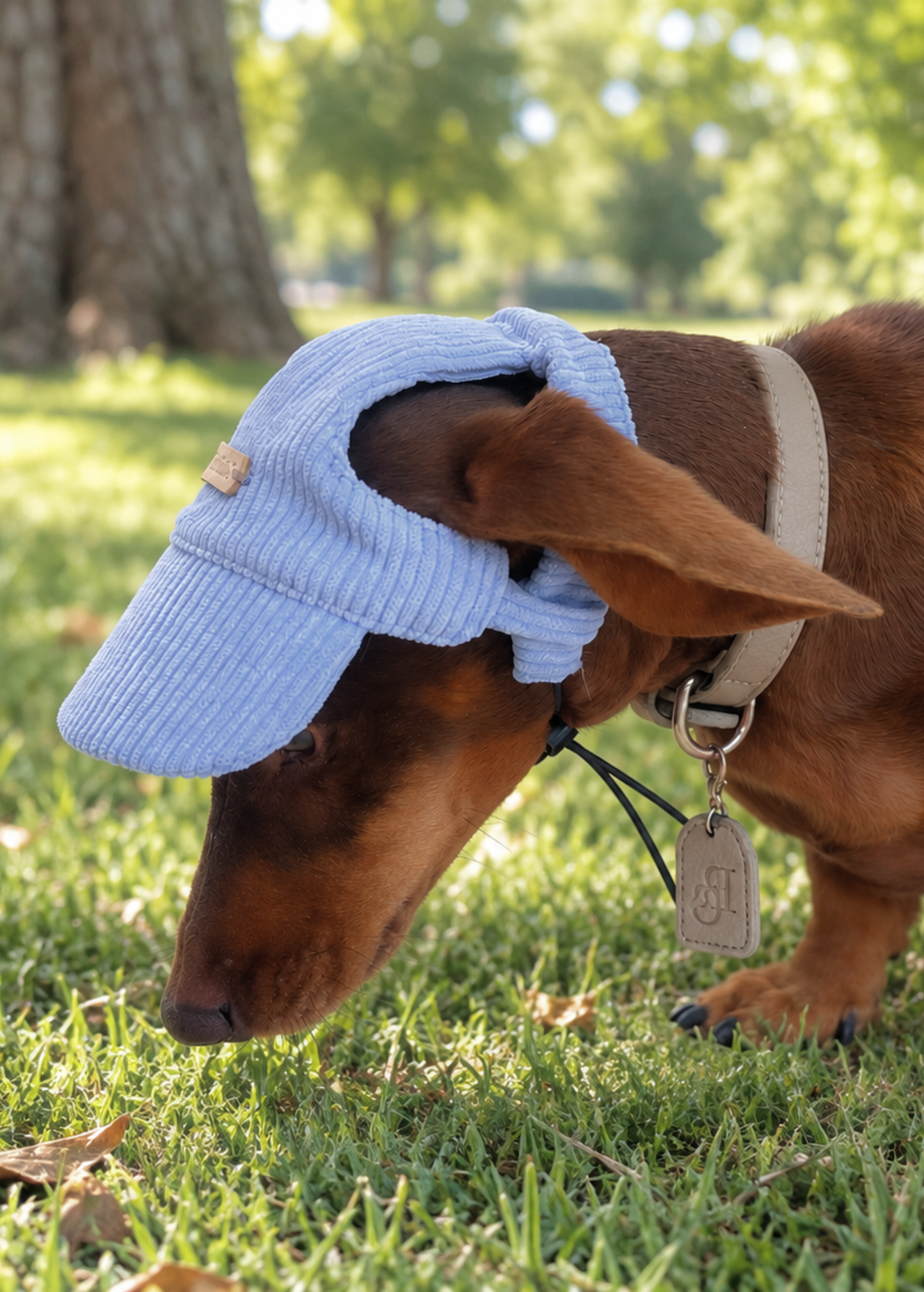 Corduroy Dog Cap – Blue