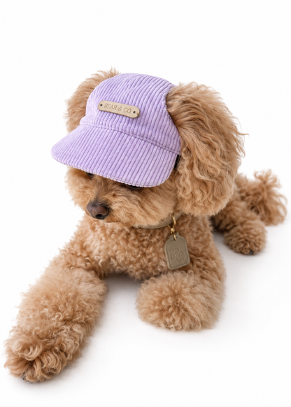 Corduroy Dog Cap – Purple