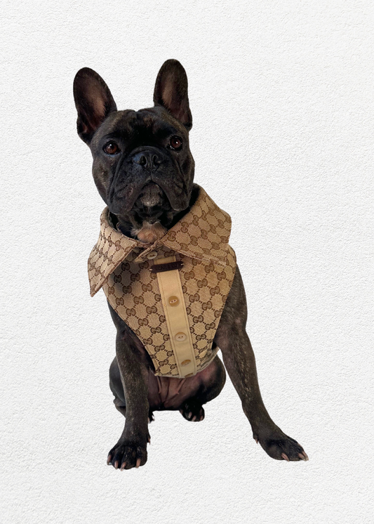 Bespoke Pet Harness & Shirt Collar