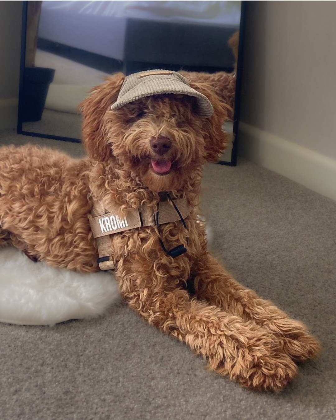 Corduroy Dog Cap – Beige
