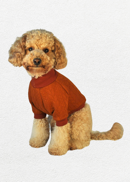 Knitted Pullover - Sienna