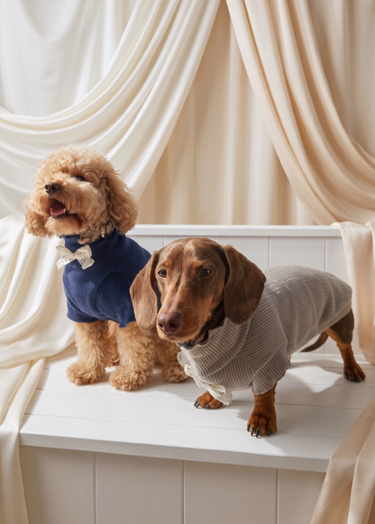 Renaissance Jumper (Royal Blue)