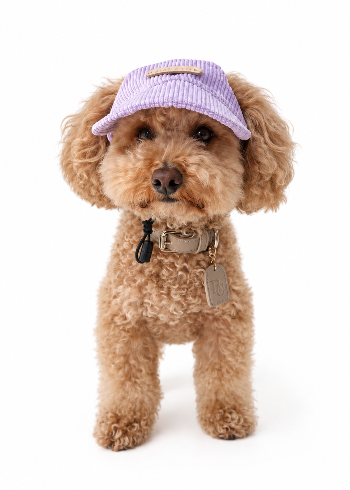 Corduroy Dog Cap – Purple
