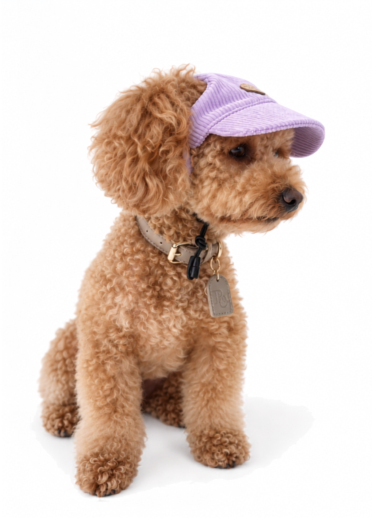 Corduroy Dog Cap – Purple