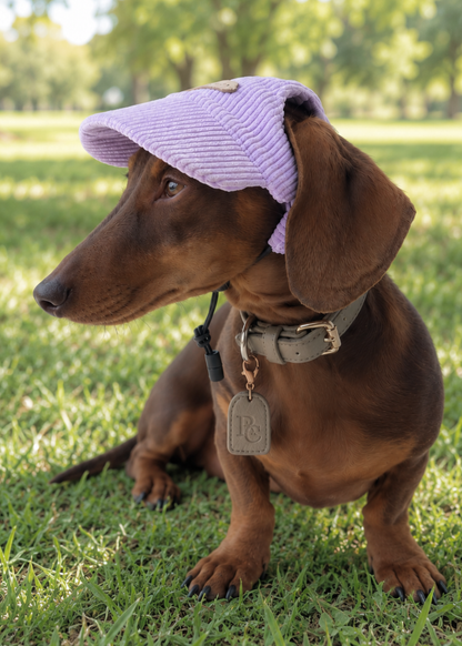 Corduroy Dog Cap – Purple