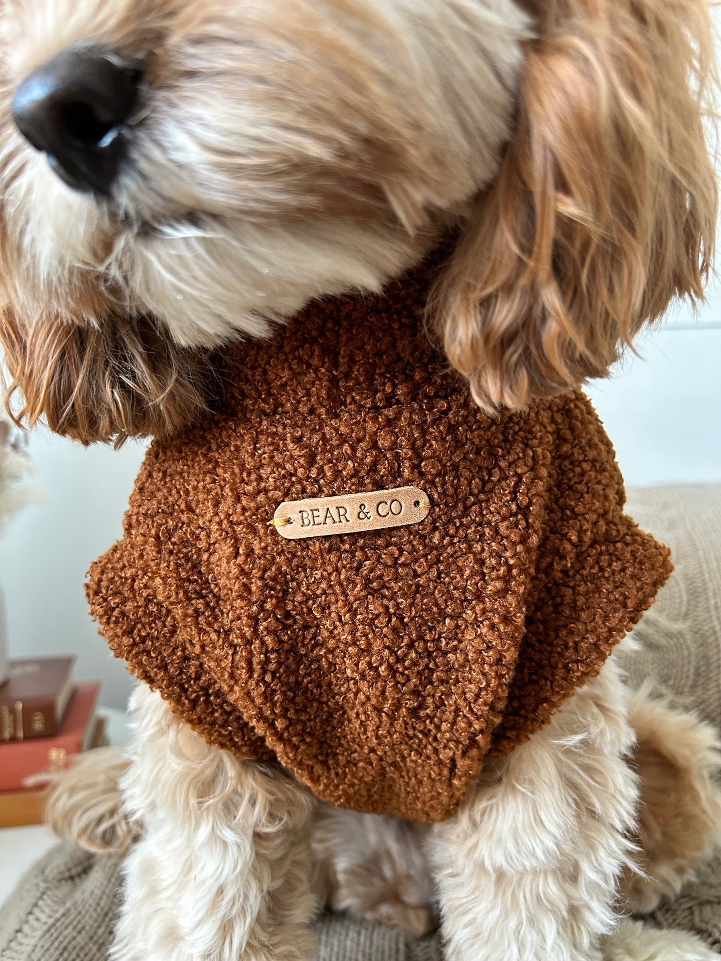 Teddy Bouclé Jumper (Chestnut Brown)